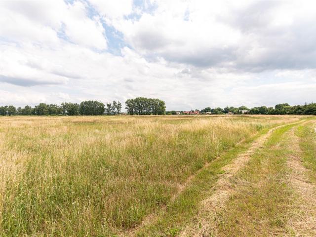 Działka, Goleniów, Łąkowa, 4542.00 m², sprzedam działkę