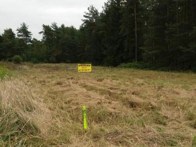 DZIAŁKA GRABOWA
