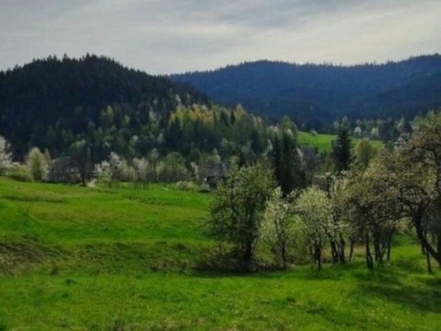 Działka, grunt na sprzedaż woj. małopolskie. Poręba Wielka, 370 000 PLN