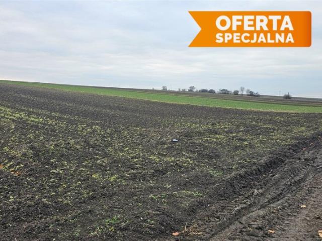 Działka, grunt na sprzedaż woj. małopolskie. Prandocin, 180 000 PLN