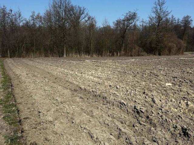 Działka, grunt na sprzedaż woj. małopolskie. Szczucin, 64 000 PLN