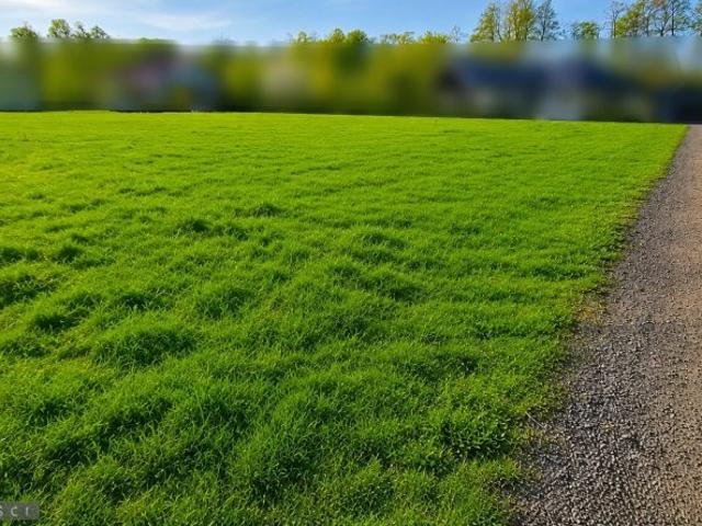 Działka, grunt na sprzedaż woj. małopolskie. Zielonki, 1 050 000 PLN