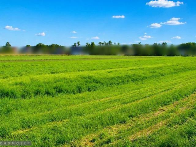 Działka, grunt na sprzedaż woj. małopolskie. Zielonki, 1 100 000 PLN