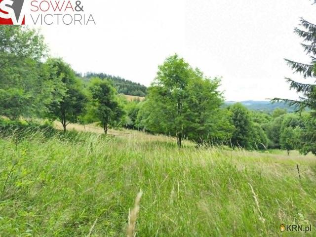 Działka, grunt na sprzedaż woj. dolnośląskie. Walim, 269 000 PLN