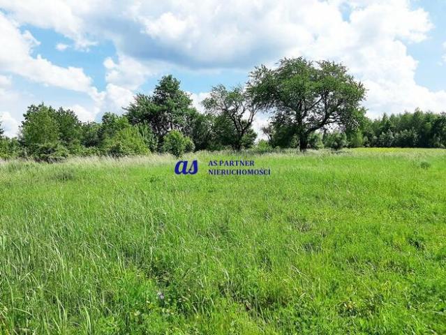 Działka Hermanowa gm. Tyczyn Pańskie Pola Gradkowiec