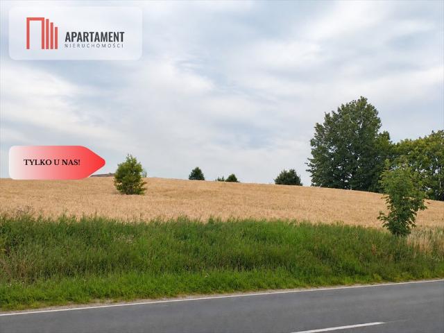 Działka inwestycyjna 5073 m² przy drodze wojewódzkiej