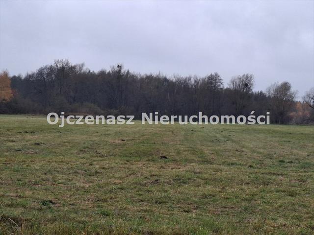 Działka inwestycyjna 55 259 m² z MPZP, dostęp do mediów