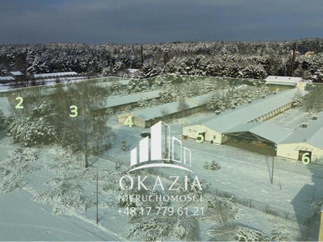 Działka inwestycyjna 5,19 ha Wysoka Głogowska