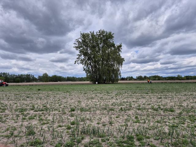 Działka inwestycyjna 8683 m² w Warszawie, MPZP