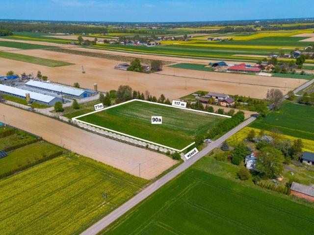 Działka inwestycyjna 9003 m² w Krzesimowie – strategiczna lokalizacja