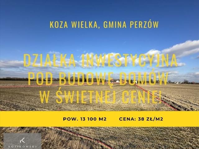 Działka inwestycyjna 13 100 m² z warunkami zabudowy