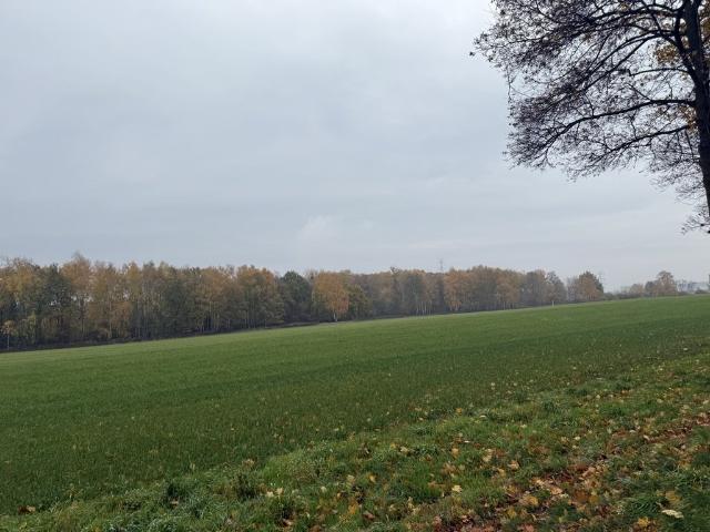 Działka inwestycyjna 12 200 m² z mediami i dobrym dojazdem