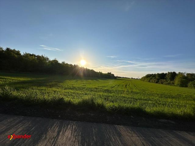 Działka inwestycyjna 12 236 m² przy Solnej, Częstochowa