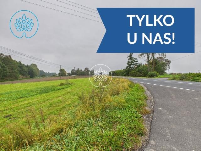 Działka inwestycyjna 1700 m² przy DK15 – potencjał rozwoju