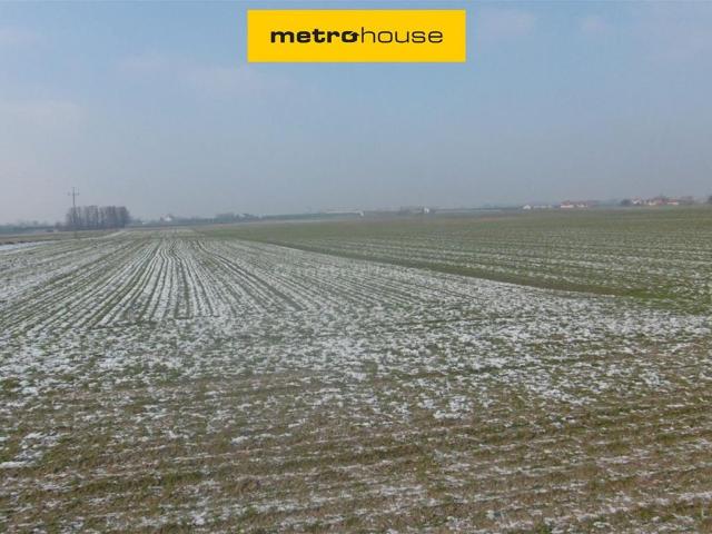 Działka inwestycyjna 1700 m² przy głównej drodze w Toruniu