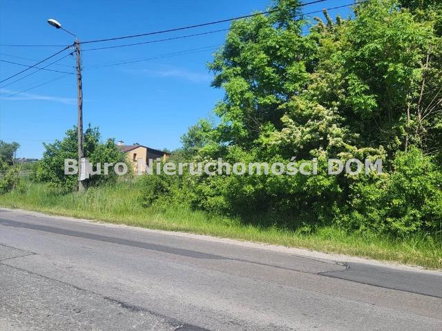 Działka inwestycyjna 2500 m² z warunkami zabudowy