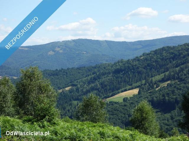 Działka inwestycyjna 25,3 ha w Brennie polecam!