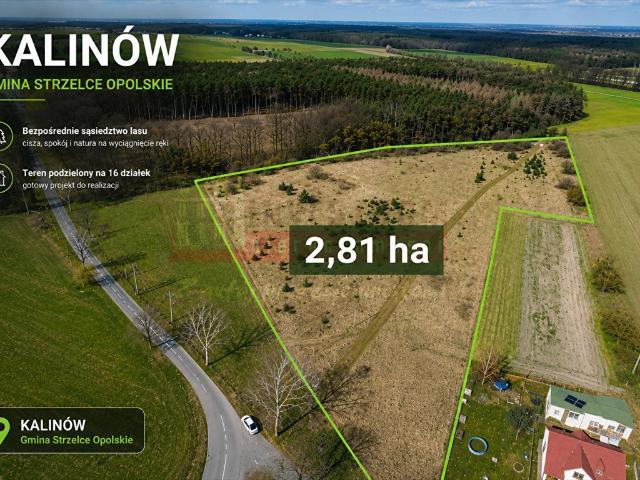 Działka inwestycyjna 2,81 ha z 16 działkami w Kalinowie
