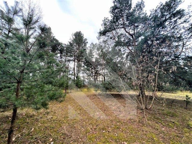 Działka inwestycyjna 32 805 m² w Kapuściskach, Bydgoszcz