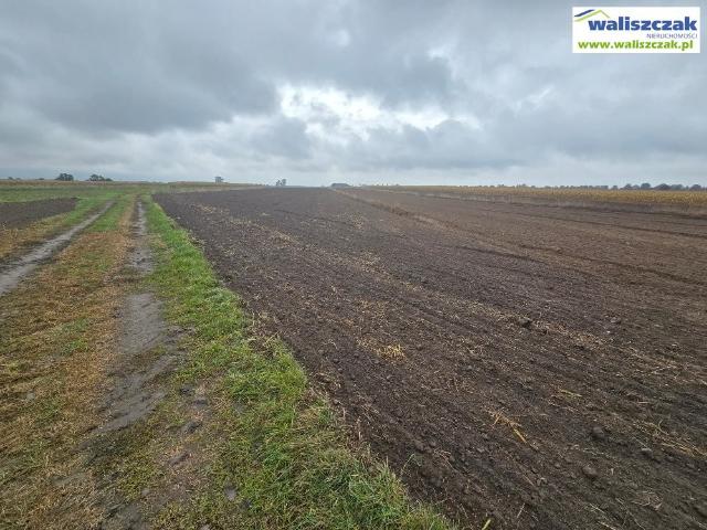 Działka inwestycyjna 3,2ha przy ul. Grabskiej w Piotrkowie