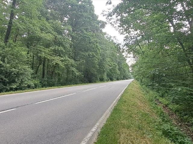 Działka inwestycyjna z lasem i żwirownią, Borzęcin