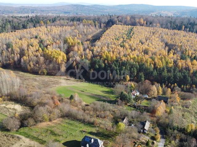 Działka inwestycyjna Cisów 22 500 m²