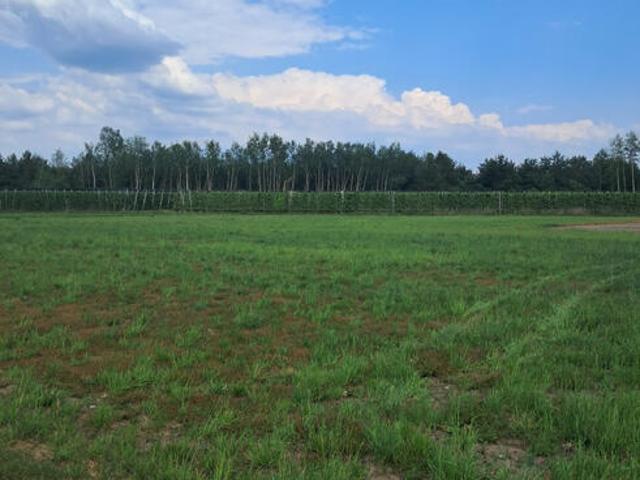 Działka inwestycyjna Kamionka gm. Prażmów
