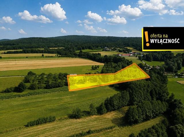 Działka, Jeleniów, 8013.00 m², sprzedam działkę