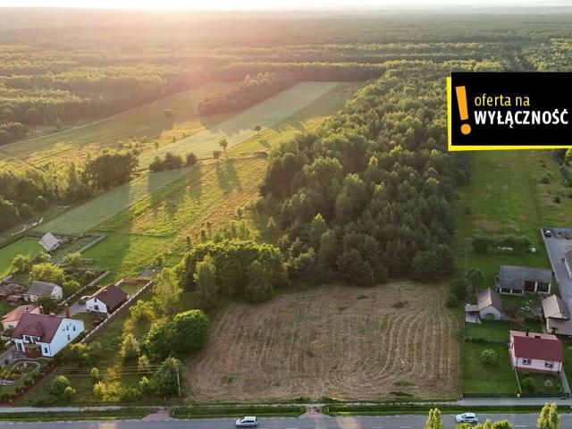 Działka, Kolonia Bogoria, 1332.00 m², sprzedam działkę