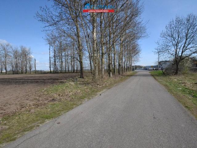 Działka komercyjna 5000 m2 z możliwością zabudowy