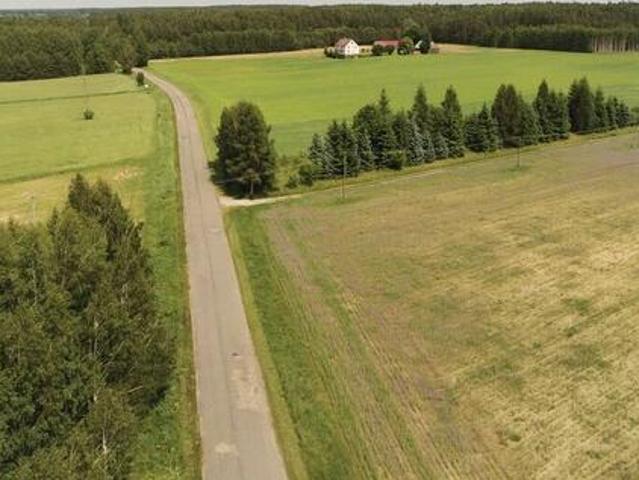 Działka leśna, Berżałowce, gm. Sejny