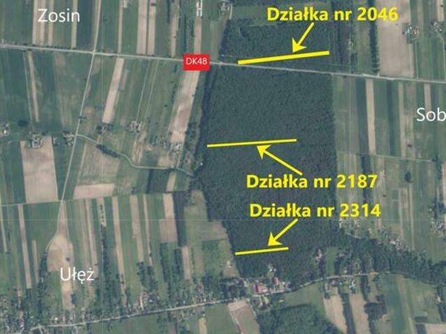 Działka leśna Ułęż