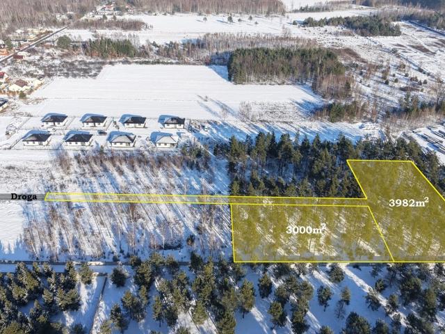 Działka leśna w mieście 3 982 m² – prywatny las i spokój