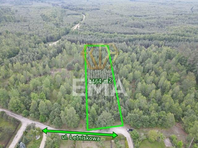 Działka leśna 4464 m² w Herbach cisza i natura polecam!