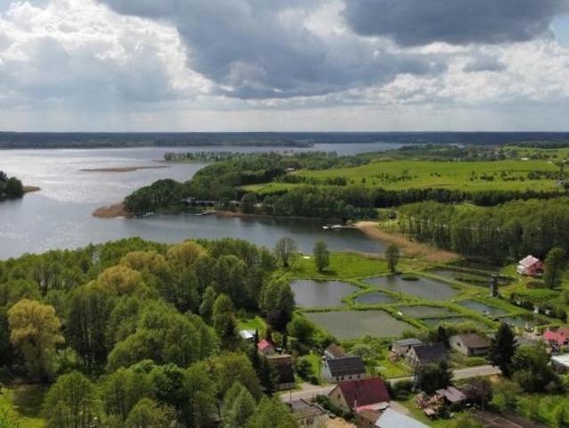 Działka leśna 4900 m² nad jeziorem w Lubieszewie
