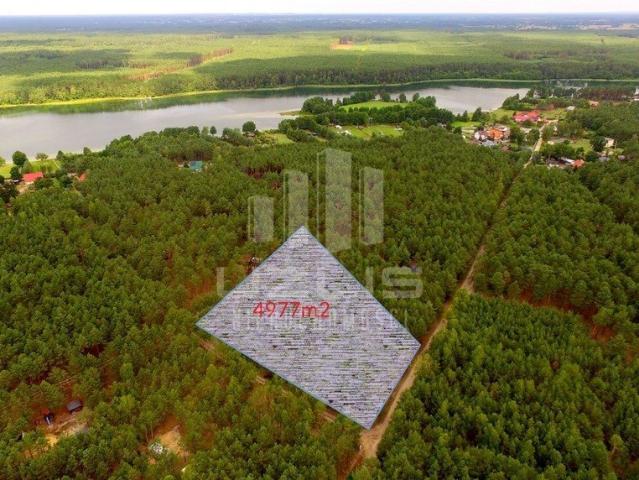 Działka leśna 4977 m² w Borach Tucholskich z dostępem do jeziora