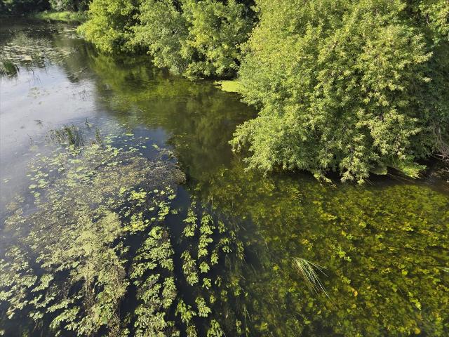 Działka leśna 700 m² nad Wkrą w Bolecinie zapraszam