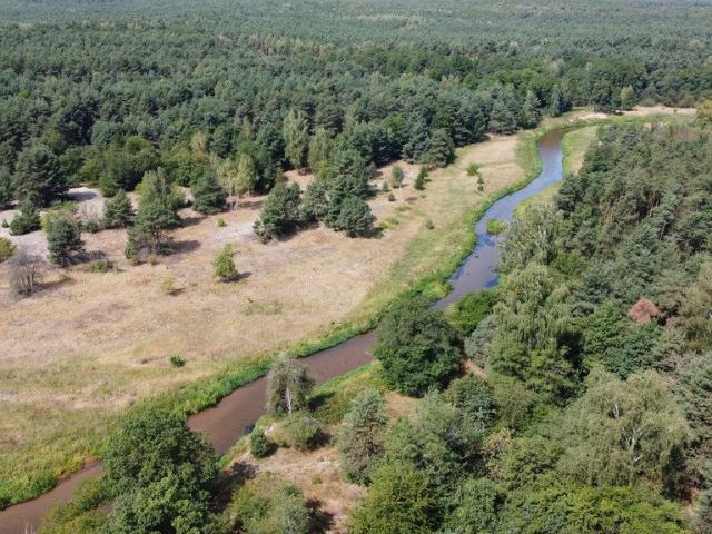 Działka letniskowa 800 m2 z drzewami, media, Wola Chodkowska
