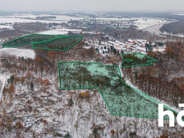 Działka, Pogalewo Wielkie, 94300.00 m², sprzedam działkę