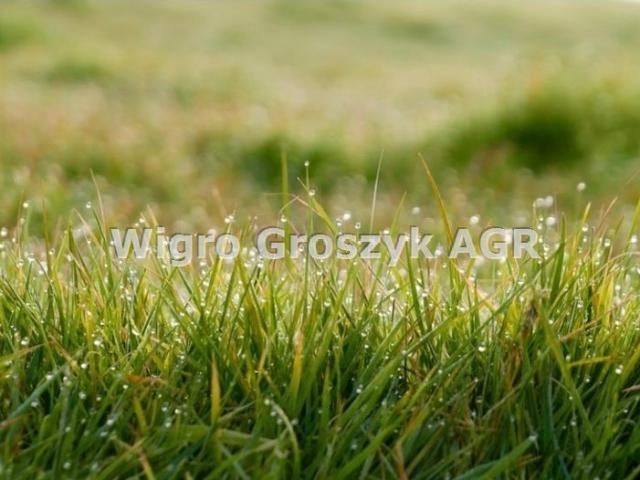 Działka usługowa 1413 m² z planem zagospodarowania