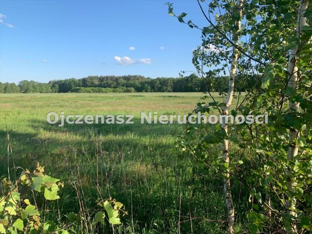 Działka pod zabudowę bliźniaczą 10 243 m2 z prądem