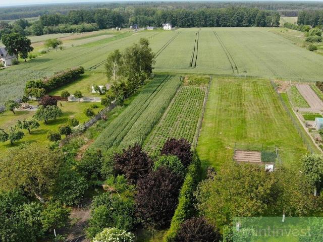 Polecam działkę 1875 m² z mediami i potencjałem inwestycyjnym