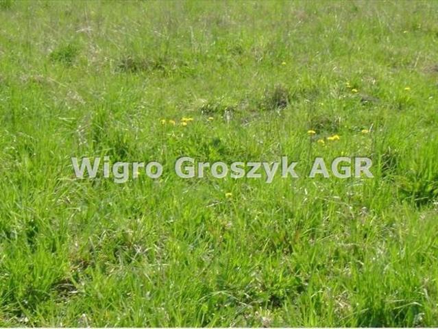 Działka pod zabudowę 5 485 m2 z mediami i planem