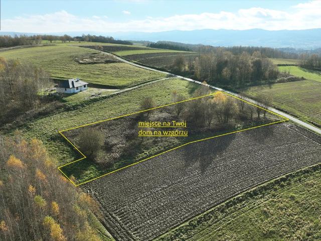 Działka pod budowę na wzgórzu z drzewami, 3000 m²