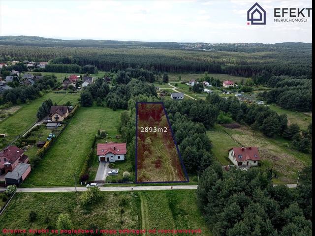 Działka pod domy jednorodzinne z sosnami, prywatność