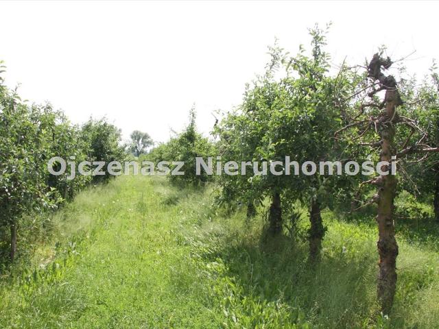 Działka pod domy z mediami, 3201 m², Wtelno