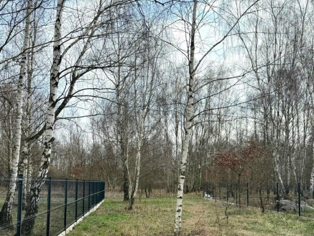 Działka pod dom w otoczeniu lasu, 1081 m2, cisza