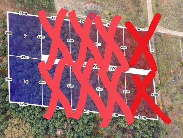 Działka pod dom w Siestrzeni, las, media, blisko Warszawy