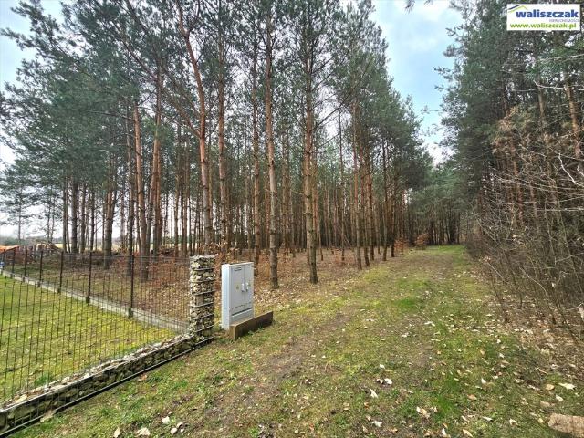 Działka pod dom w Sulejowie, 1556 m2, media, las