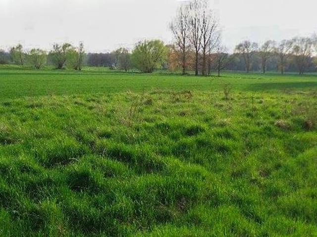 Działka pod dom wolnostojący, media, płaska, 2600 m2